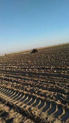 開魯縣農(nóng)機(jī)銷售與價(jià)格概況 助力現(xiàn)代農(nóng)業(yè)發(fā)展